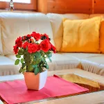 -cozy Escape Casa vacanze *