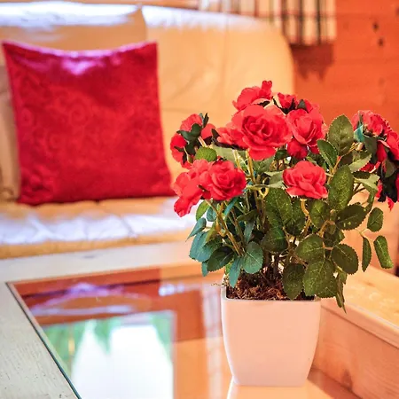 Hébergement de vacances Wildschoenau -cozy Escape Niederau