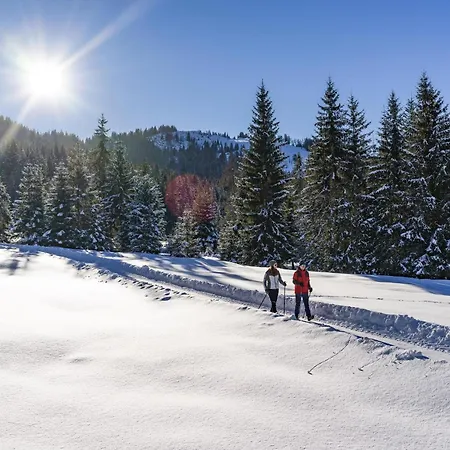 -cozy Escape Wildschoenau